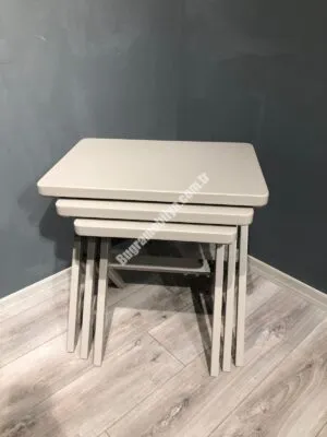 YENİ ÇAPRAZ ZİGON