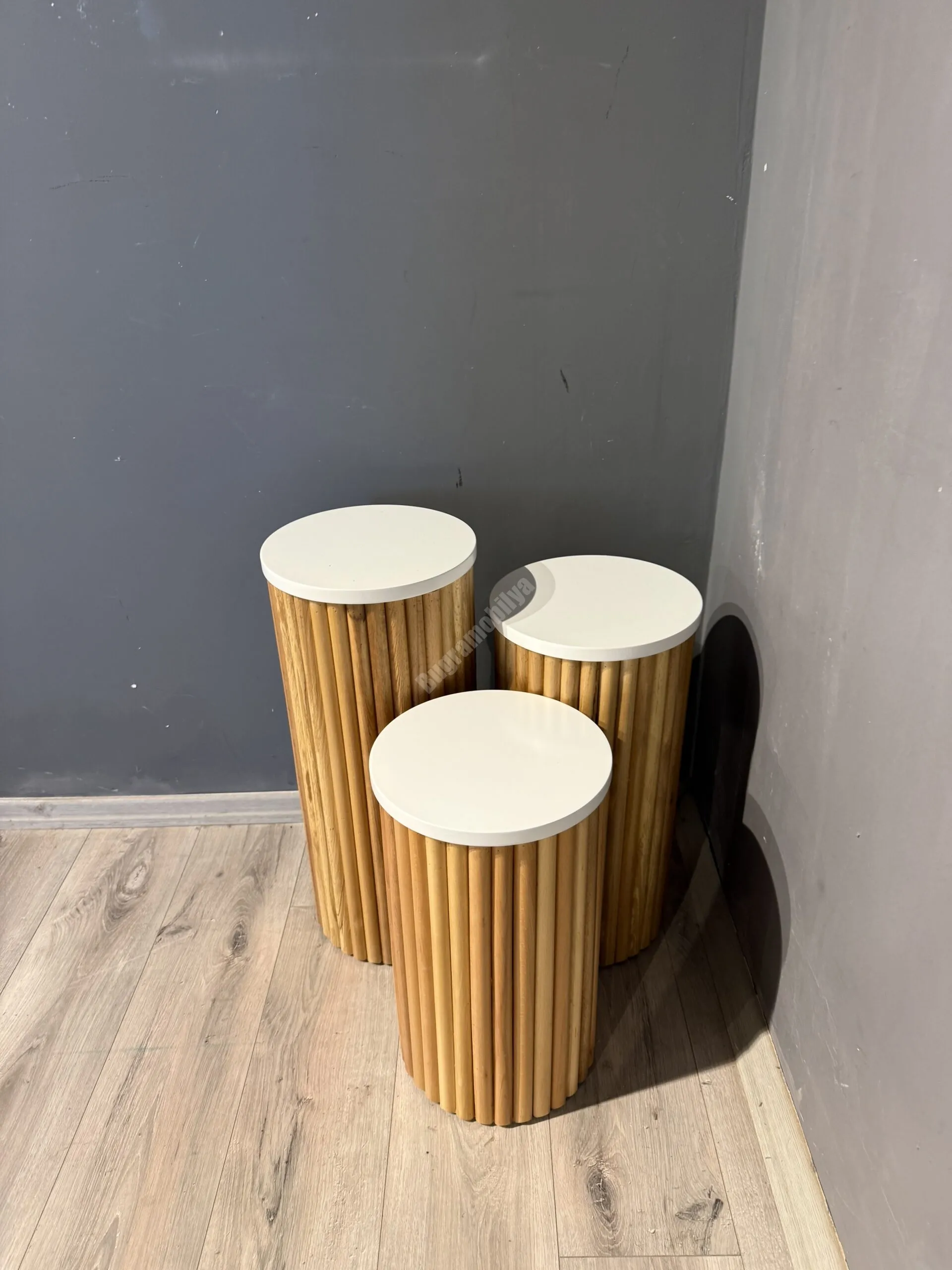 Ptt Mantar Zigon Naturel - Görsel 3