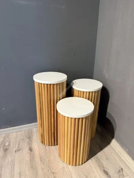 Ptt Mantar Zigon Naturel